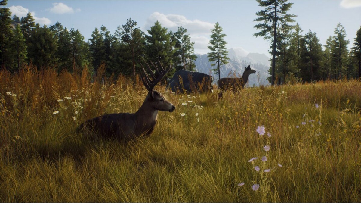 Way Of The Hunter