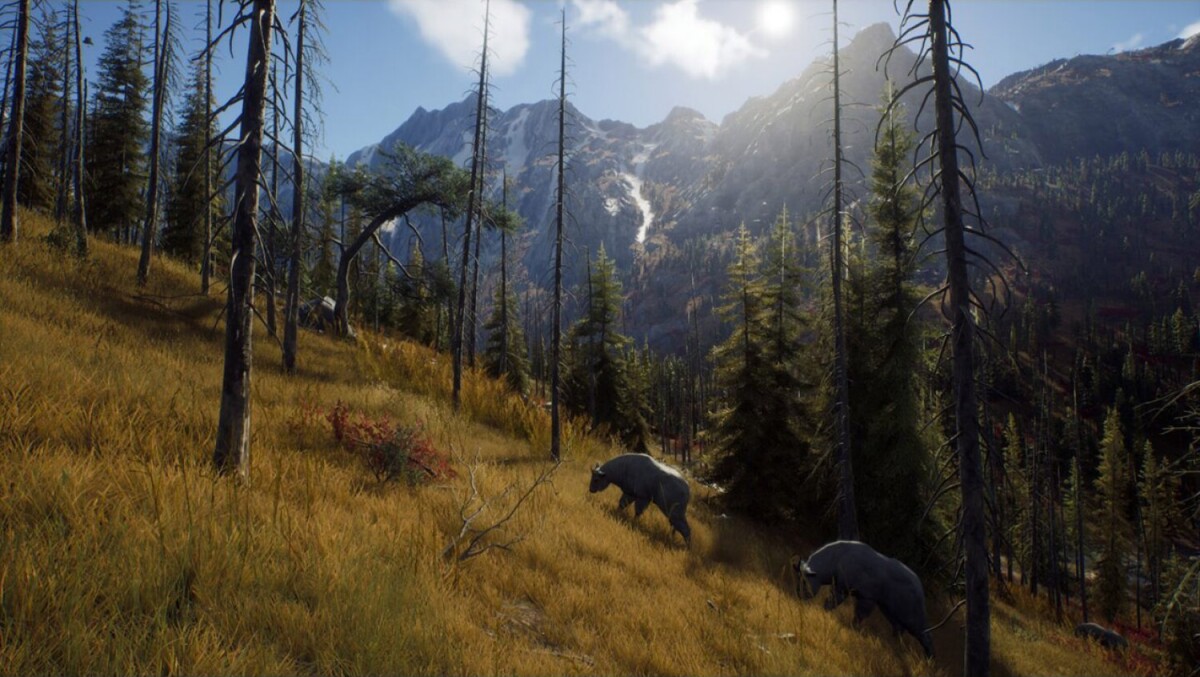 Way Of The Hunter