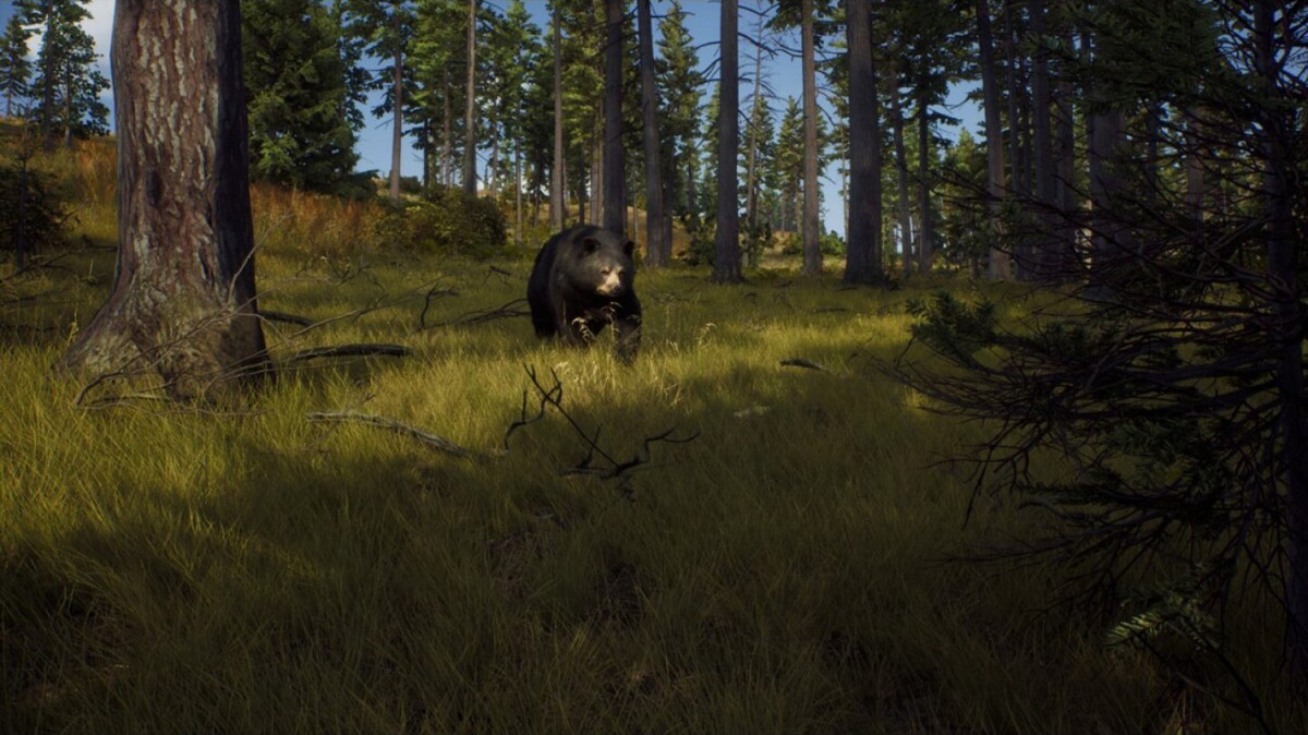 Way Of The Hunter