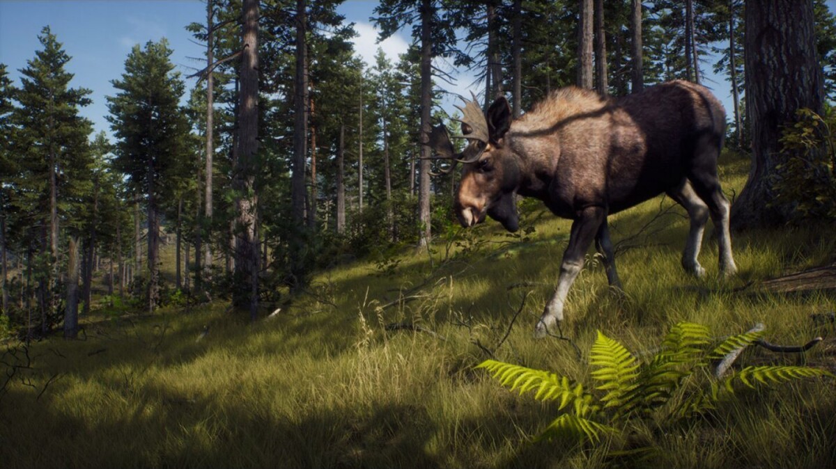 Way Of The Hunter