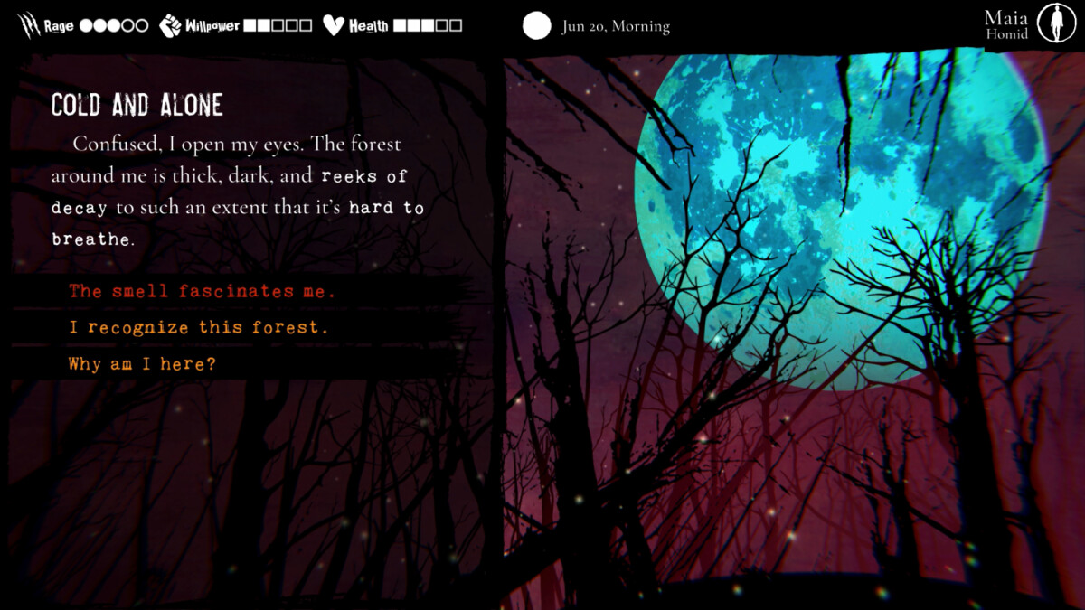 Werewolf The Apocalypse