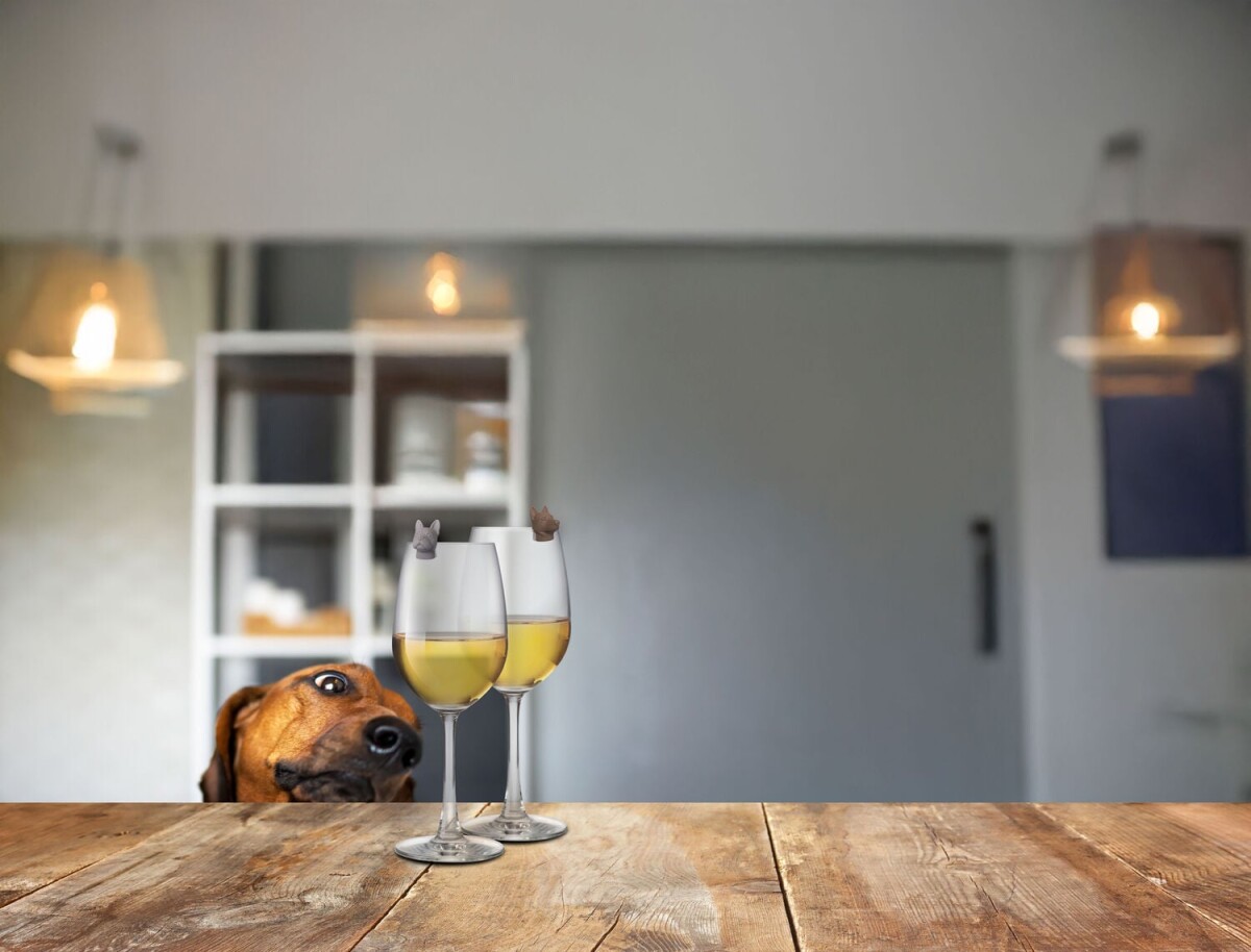 Winkee - Dog Glass Markers