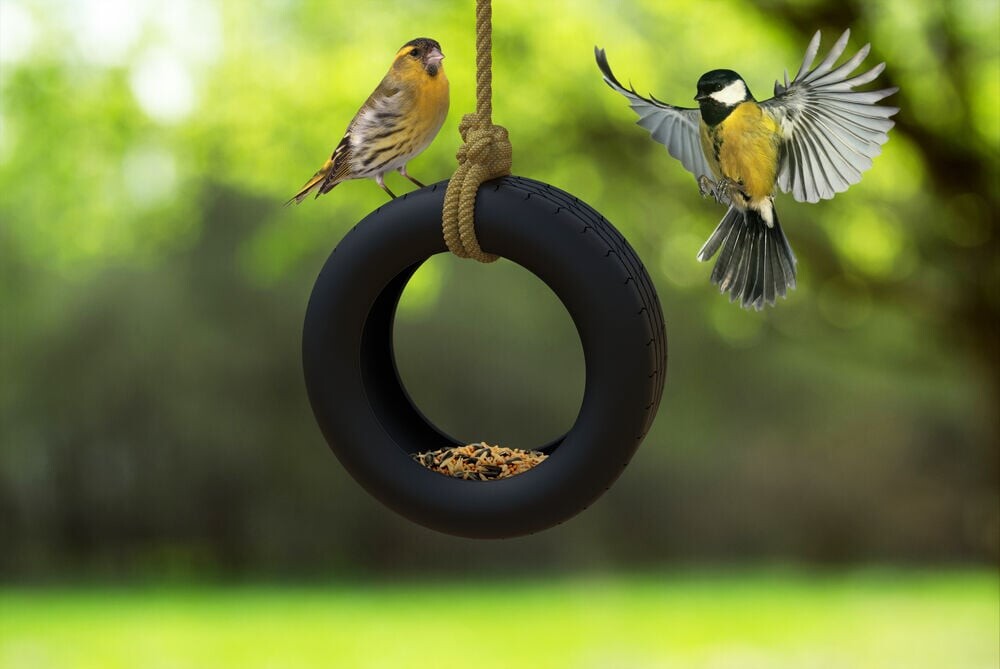 Winkee - Foderbræt - Tyre Bird Feeder