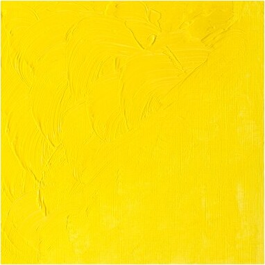 Winsor Newton - Winton Oil Colour 37 Ml - Cadmium Lemon Hue 087