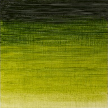 Winsor Newton - Winton Oil Colour 37 Ml - Sap Green 599