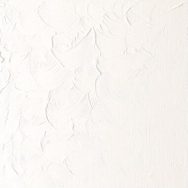Winsor Newton - Winton Oil Colour 37 Ml - Titanium White 644