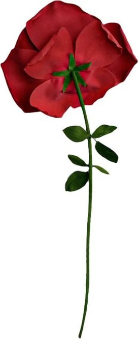 Xxl Rose