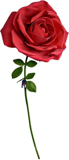 Xxl Rose