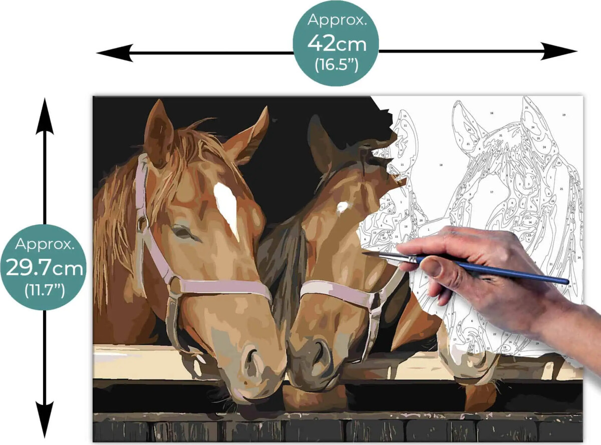 Mal Efter Tal - Voksne Og Børn - Heste - Lærred - Zieler