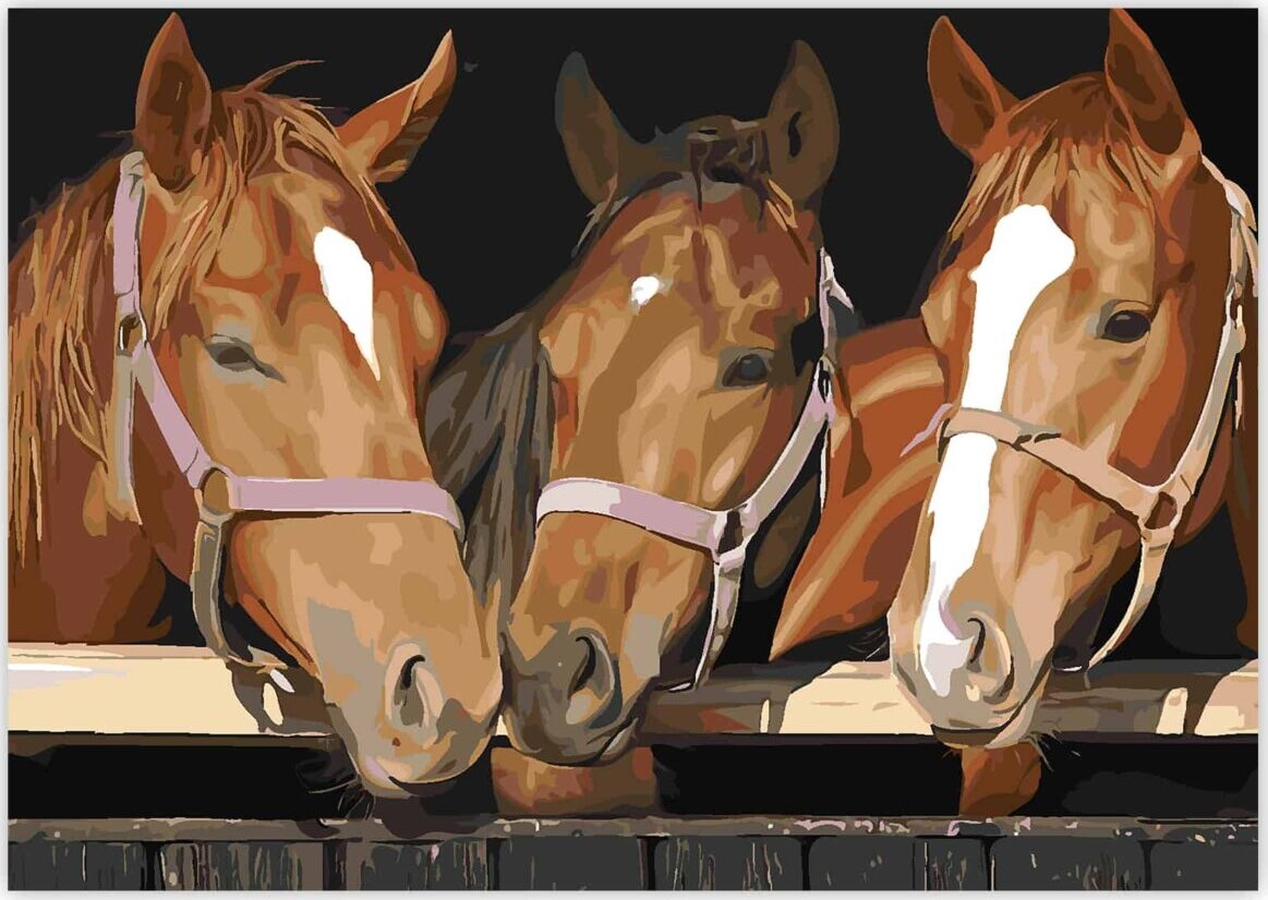 Mal Efter Tal - Voksne Og Børn - Heste - Lærred - Zieler