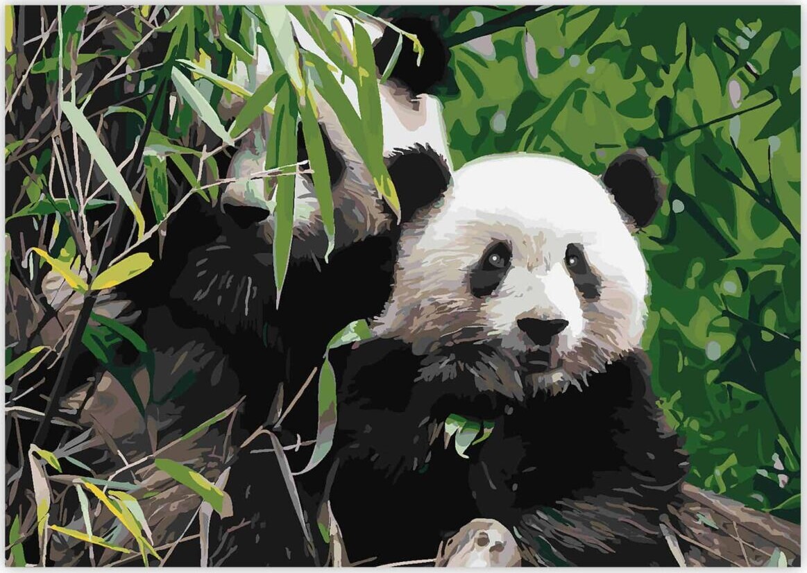 Mal Efter Tal - Voksne Og Børn - Panda - Lærred - Zieler