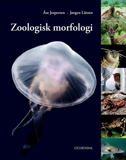 Zoologisk Morfologi