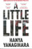 A Little Life