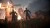 A Plague Tale Collection
