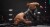Aew Fight Forever