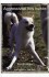 Agressivitet Hos Hunde