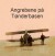 Angrebene På Tønderbasen
