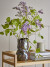 Bloomingville - Apio Vase - Sort - Stentøj - H 22 5 Cm