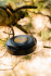 Aqiila - Lightbird Bl10 - Campinglight With Powerbank