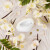 Ariana Grande - Mod Vanilla Edp 100 Ml