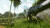 Ark Survival Ascended