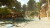Ark Survival Ascended