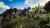 Ark The Ultimate Survivor Edition