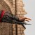 Assassin S Creed - Animus Basim 1 4 Scale Statue