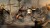 Assassin S Creed Rogue - Import