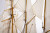 Billing Boats - Esmeralda 730 Special Edition - Wooden Hull - 1 100 - Bb730