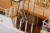 Billing Boats - Esmeralda 730 Special Edition - Wooden Hull - 1 100 - Bb730