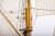 Billing Boats - Esmeralda 730 Special Edition - Wooden Hull - 1 100 - Bb730