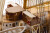 Billing Boats - Esmeralda 730 Special Edition - Wooden Hull - 1 100 - Bb730