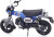 Tamiya - Honda Dax125 Tamiya Limited Edition - 112 - 14142