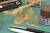 Tamiya 28501 - Fukuiraptor Dinosaur Modelbyggesæt I Plast - 1 35