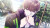 9 Rip 9 Rip Sequel - Dual Pack