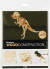 3D Træ Puslespil - Dinosaur - 33X8X23 Cm
