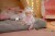 Baby Born - Luna 36Cm 840986