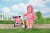 Babyborn - Trehjulet Cykel - Pink