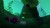 Bahamut And The Waqwaq Tree Import
