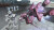 Bayonetta Vanquish 10Th Anniversary Bundle