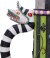Beetlejuice Krus - Nemesis Now