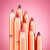 Bellamianta - Speakeasy Lip Liner - Allure - 12G