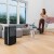 Beurer - Le 250 Dehumidifier - 3 Year Warranty