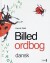 Billedordbog Dansk