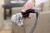 Bissell - Spotclean Plus
