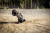 Blackzon - Rc Stadium Truck Bil - Spryte St 120 4Wd - Orange
