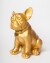 Blogo - Figur - Bulldog Ruggiero - Guld - Medium