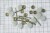 Billing Boats Fittings - Blokke - Enkelt - 7 Mm - 10 Stk