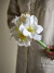 Bloomingville - Amaryllis Kunstig Blomst - Hvid